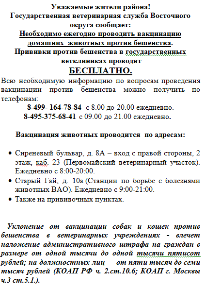 текст.png