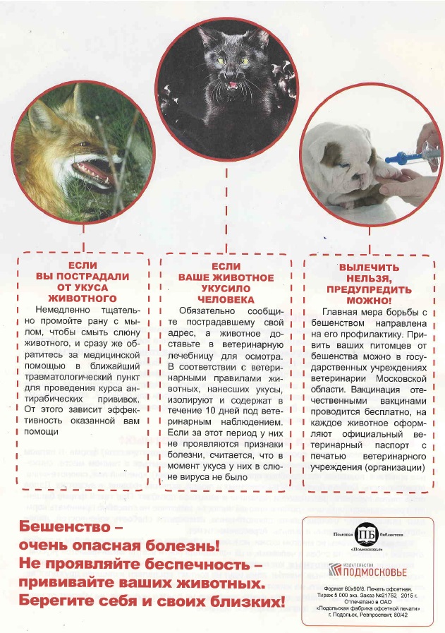 вет 4.jpg