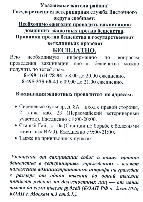 вет 1.jpg
