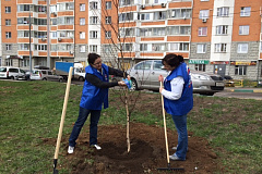 В Косино-Ухтомском увековечена память ветеранов Великой Отечественной войны