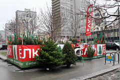 В Москве 20 декабря откроется более 180 елочных базаров
