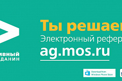 «Активный гражданин» выбрал площадку для главной елки района