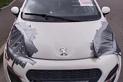 БРТС, Святоозерская ул., д. 15, Пежо Белый