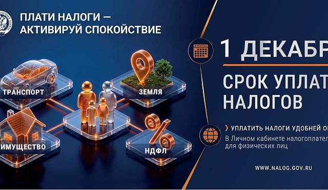 Как получить и оплатить налоговое уведомление через ЕПГУ