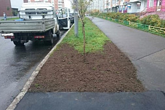 Портал «Наш город» помогает привести в порядок улицы и дворы Косино-Ухтомского