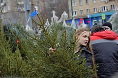 20 декабря откроется елочный базар на Рудневке 