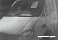 Газель