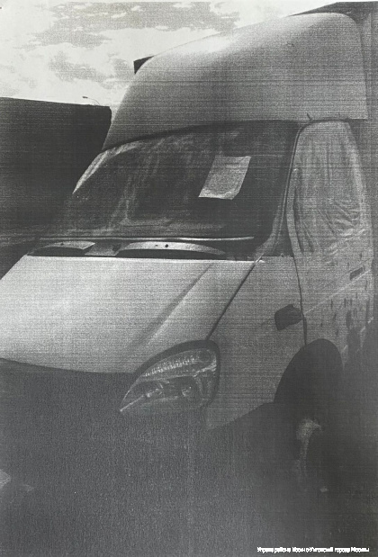 Газель