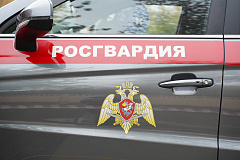 Росгвардейцы пресекли хулиганские действия на востоке столицы